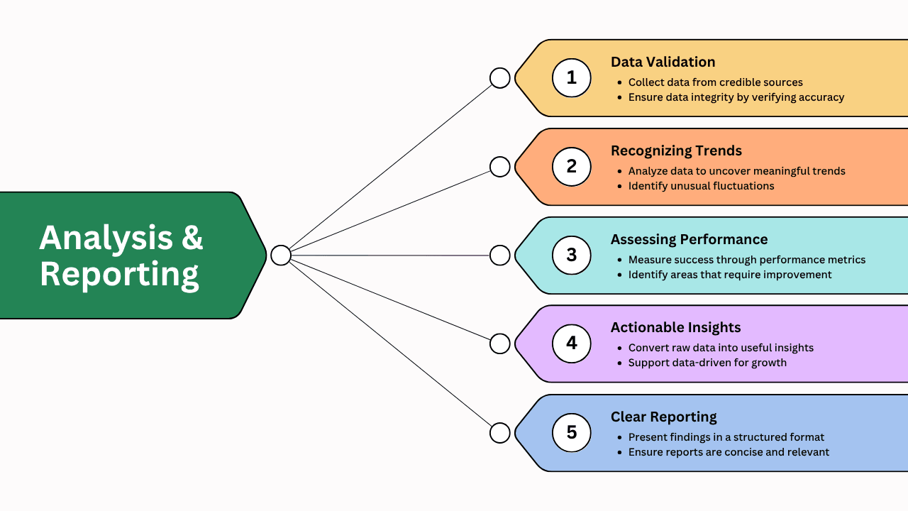 Analysis & Reporting